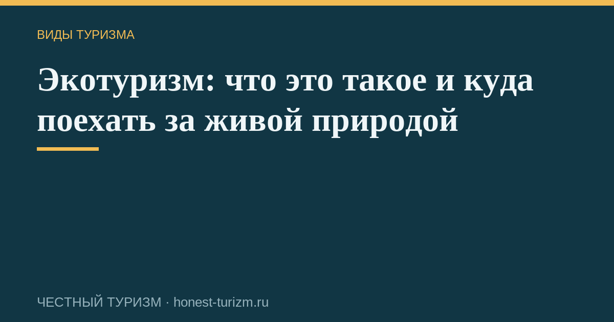 Экотуризм: что это такое и куда поехать за живой природой